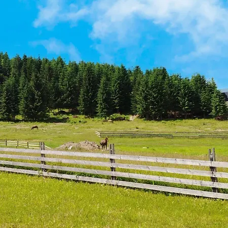 Zatyshok Holiday home Palyanytsya
