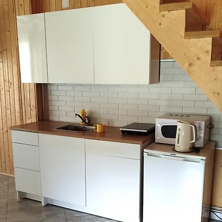 Holiday home Zatyshok